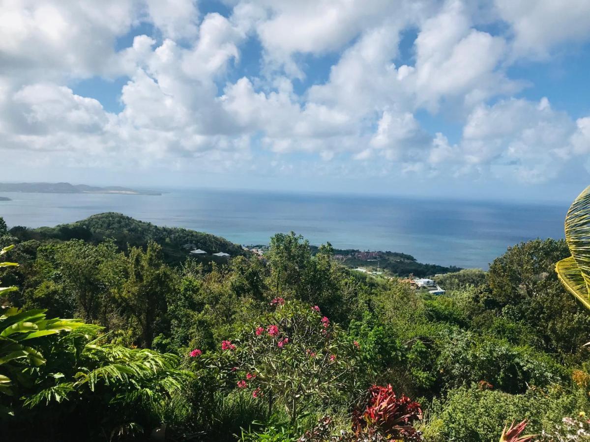 Appartement Prive Eco-Responsable, Vue Sur La Mer Des Caraibes Et Jardin Clos, Wifi, A 2Mn De La Plage Сент-Люс Экстерьер фото