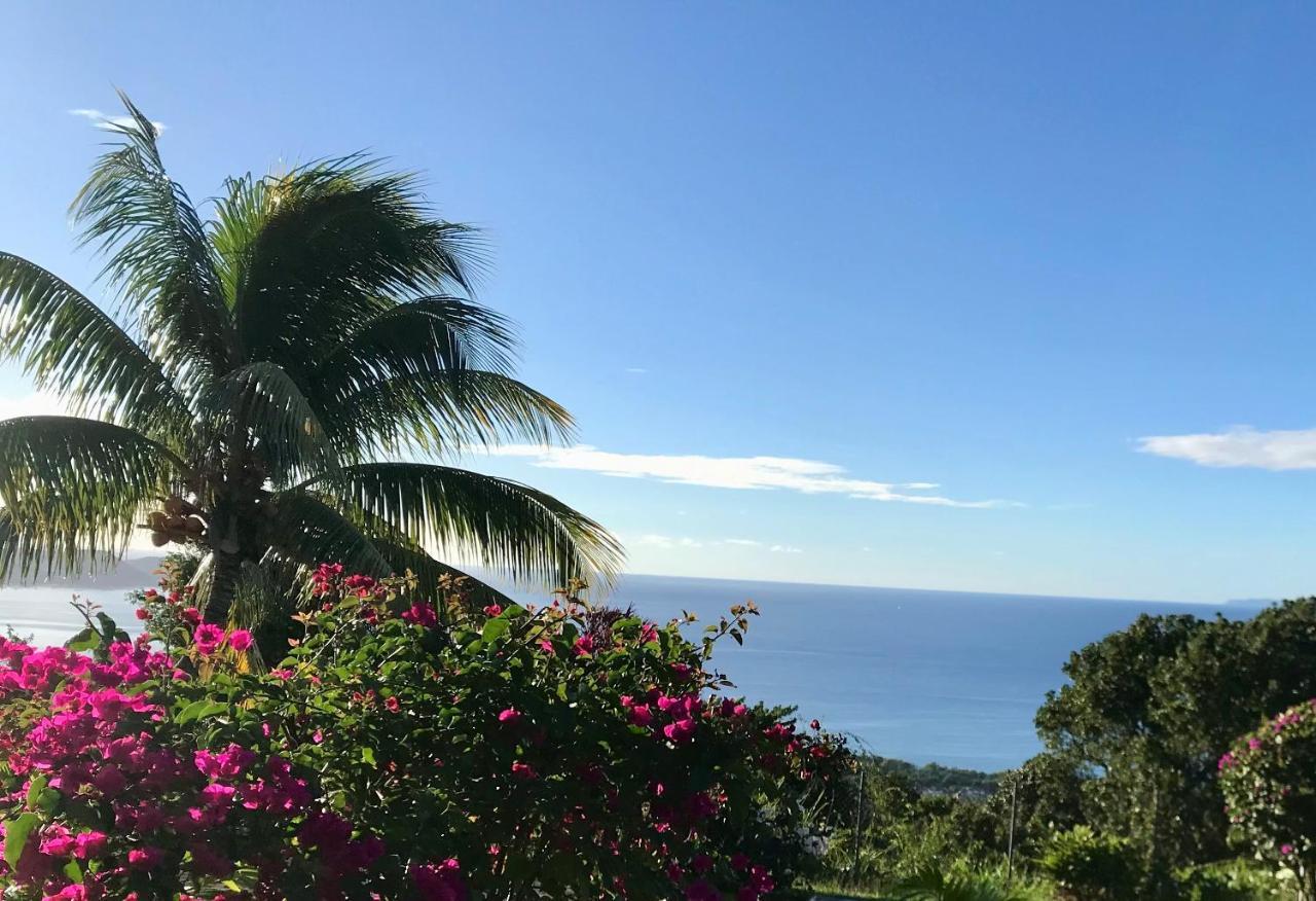 Appartement Prive Eco-Responsable, Vue Sur La Mer Des Caraibes Et Jardin Clos, Wifi, A 2Mn De La Plage Сент-Люс Экстерьер фото